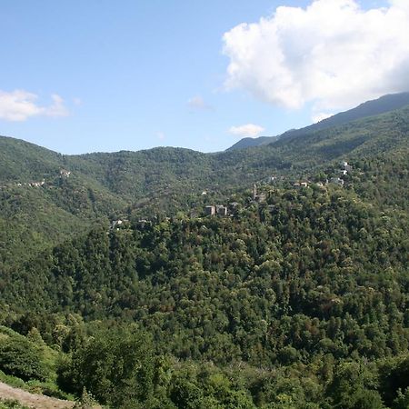 Le Refuge Orezza Piedicroce  Номер фото
