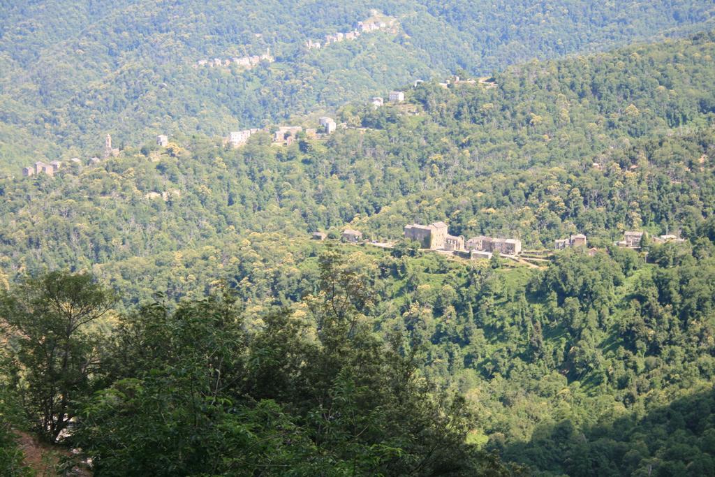 Le Refuge Orezza Piedicroce  Экстерьер фото