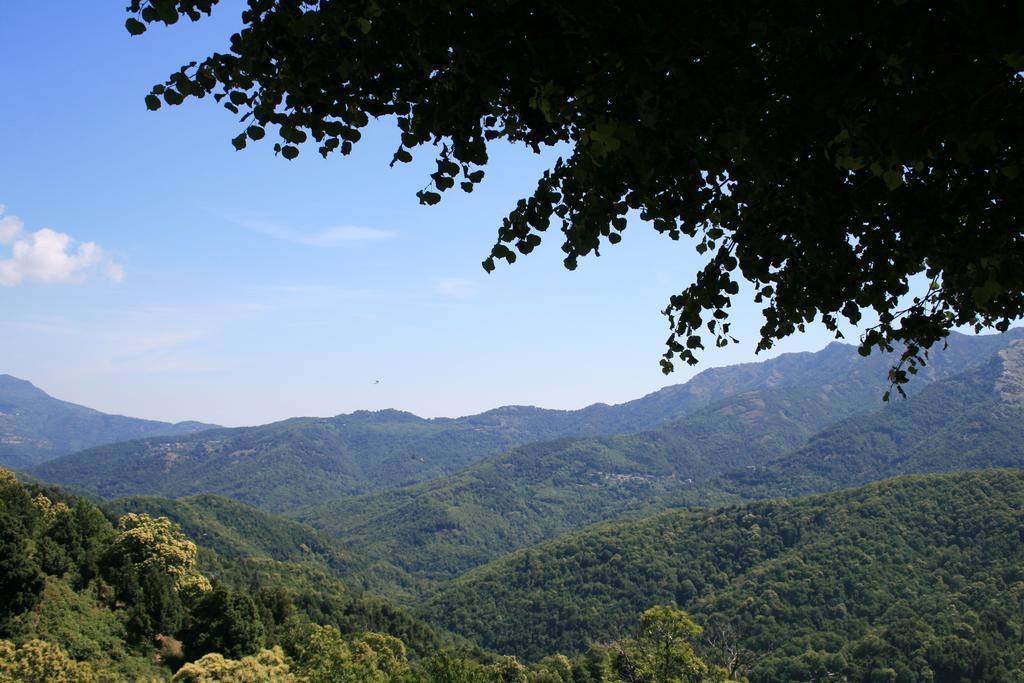 Le Refuge Orezza Piedicroce  Экстерьер фото