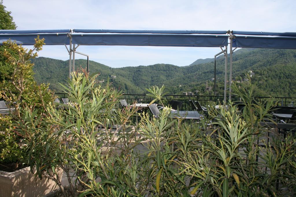 Le Refuge Orezza Piedicroce  Экстерьер фото